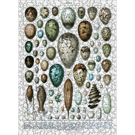 Puzzle 500p Les Oeufs Puzzle 500p Les Oeufs