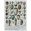 Puzzle 500p Les Oeufs