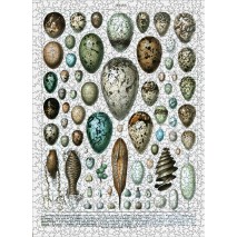 Puzzle 1000p Les Oeufs