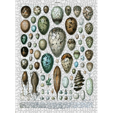 Puzzle 1000p Les Oeufs Puzzle 1000p Les Oeufs