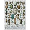 Puzzle 1000p Les Oeufs