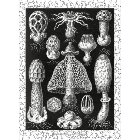 Puzzle 500p Les Champignons Noir/Blanc Puzzle 500p Les Champignons Noir/Blanc