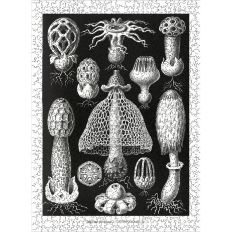 Puzzle 1000p Champignon Noir/Blanc Puzzle 1000p Champignon Noir/Blanc