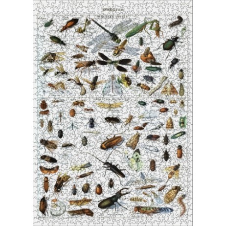 Puzzle 1000p Les Insectes Utiles et Nuisibles Puzzle 1000p Les Insectes Utiles et Nuisibles