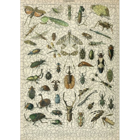 Puzzle 1000p Les Insectes II Puzzle 1000p Les Insectes II
