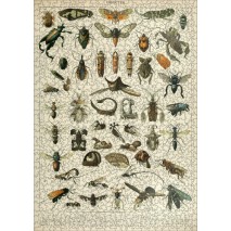 Puzzle 1000p Les Insectes I