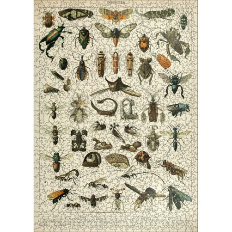 Puzzle 1000p Les Insectes I Puzzle 1000p Les Insectes I