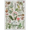 Puzzle 1000p Les Plantes Dangereuses