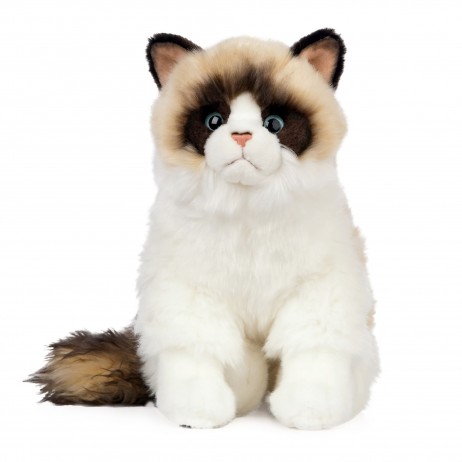 Peluche Ragdoll Cat