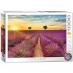 Puzzle 1000p Route de Lavande eurographics