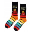 Guess I'll Die Socks M