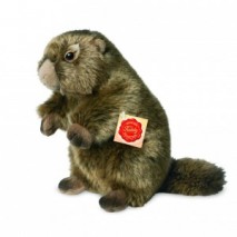 Peluche Marmotte 20 cm