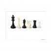 Pièces d'échecs Nerva hauteur du roi 95 mm plastique
