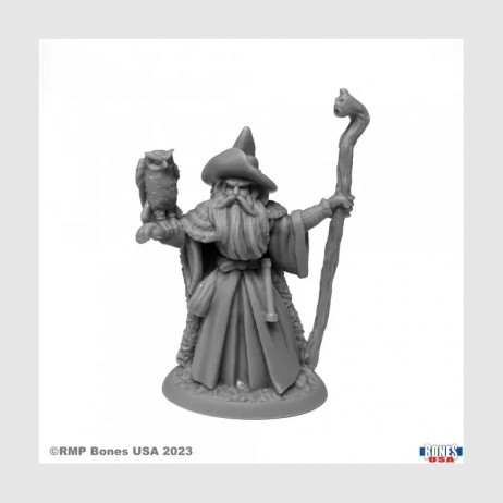 Amathor the Arch-Mage Figurine Reaper