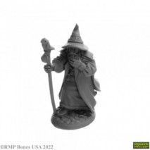 Landol Griwsold Human Wizard Figurine Reaper