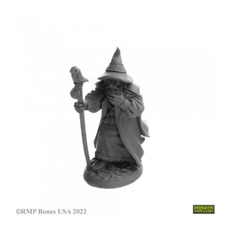 Landol Griwsold Human Wizard Figurine Reaper
