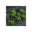 Strong Green Tufts Small (6mm)
