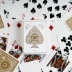54 Cartes Artisan White Theory 11