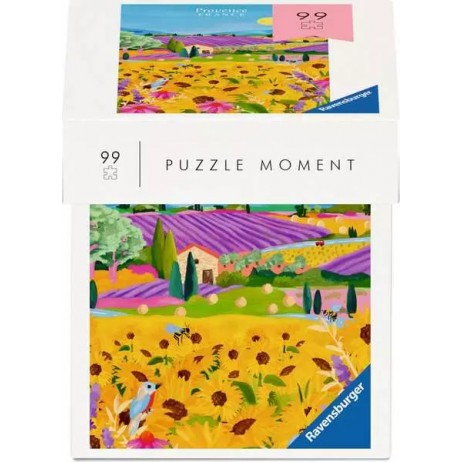 Puzzle 99 p Moment France
