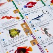 Finspan Requins & Récifs