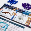 Finspan Requins & Récifs