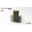 GG - Strong Green Shrubs