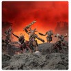 W40K - Hommes Bêtes Affregors Chaos Space Marine
