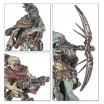 W40K - Exordeurs Kroots