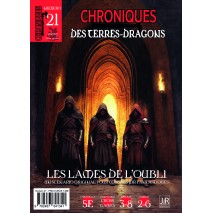 Chroniques des Terres Dragons N°21 les Lames de l'Oubli