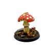 AK - Champignons / Mushrooms