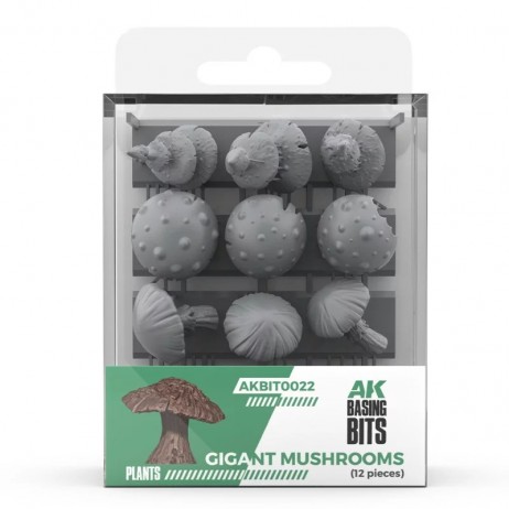 AK - Champignons / Mushrooms