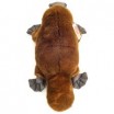 Peluche Ornithorynque 35cm