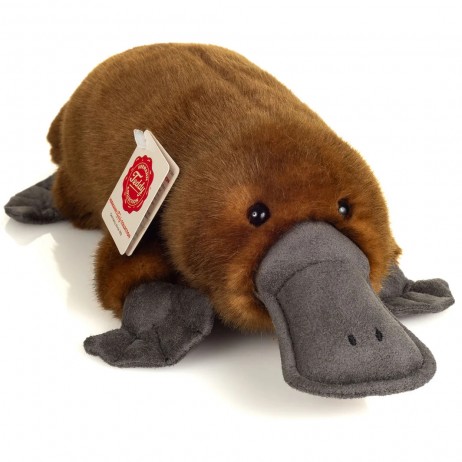 Peluche Ornithorynque 35cm