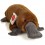 Peluche Ornithorynque 35cm